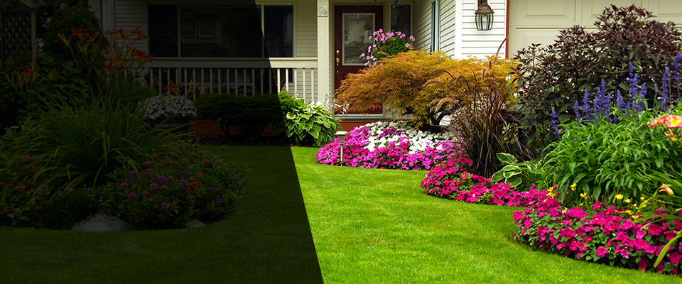 Mocksville Landscapers