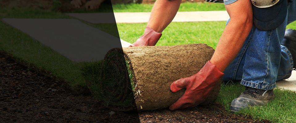 Mocksville Landscapers